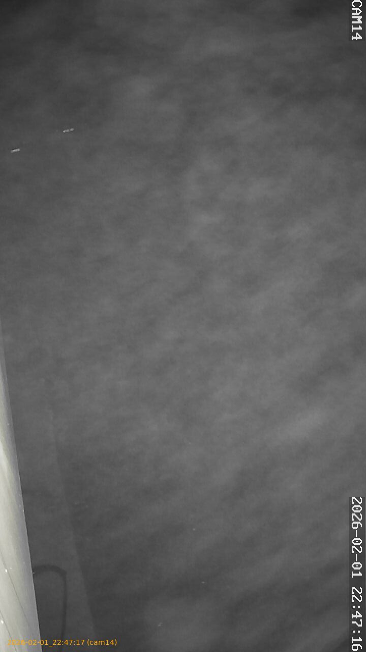 thumbnail_20260201224717