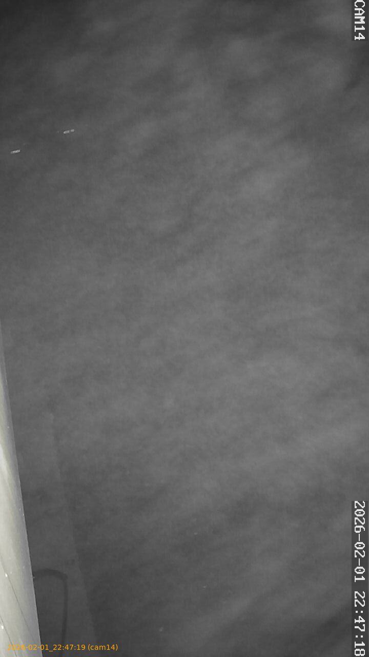 thumbnail_20260201224719