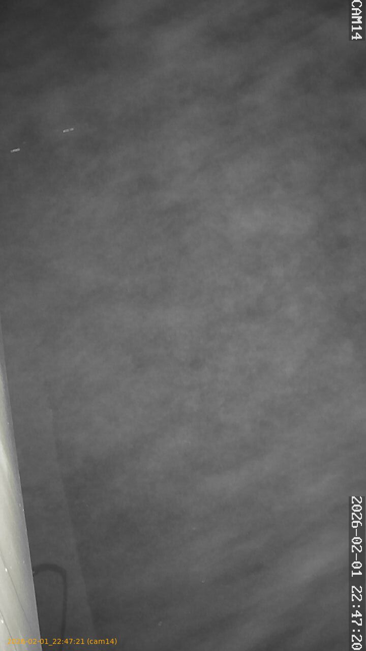 thumbnail_20260201224721