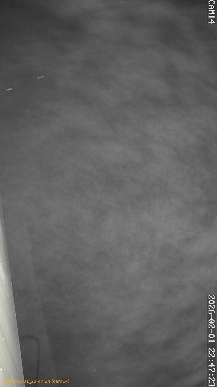 thumbnail_20260201224724