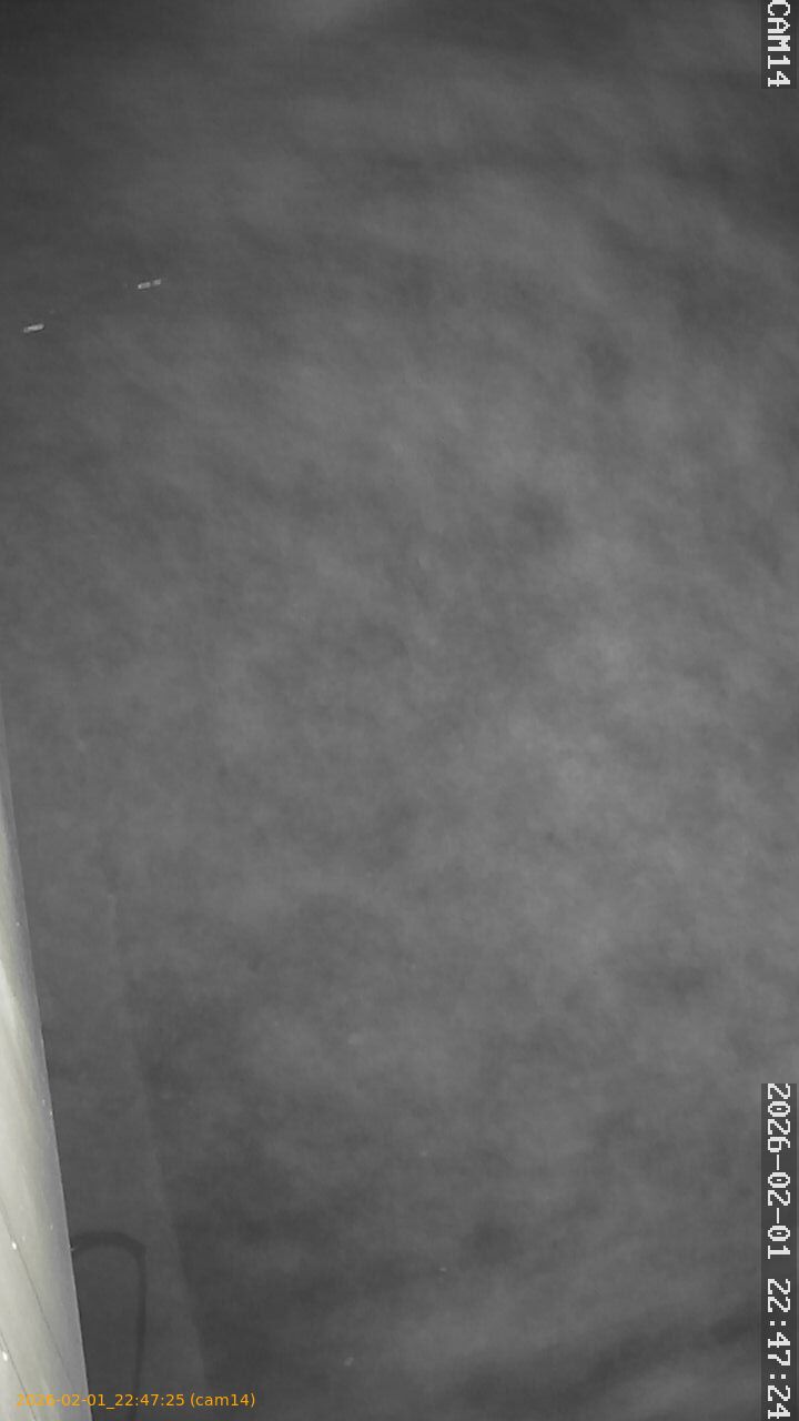 thumbnail_20260201224725