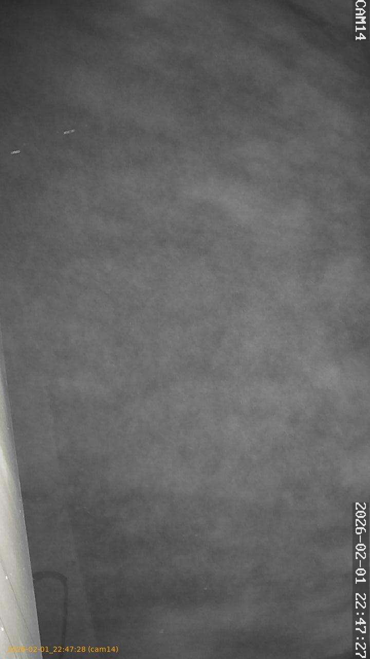 thumbnail_20260201224728