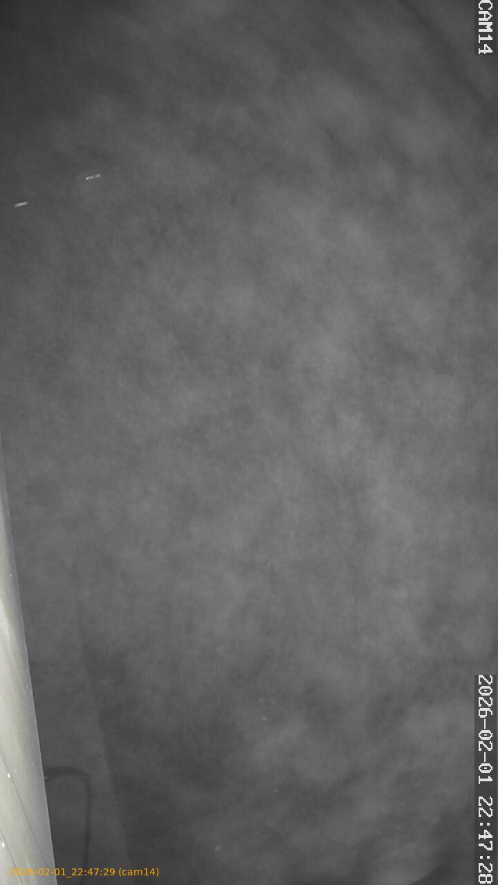 thumbnail_20260201224729