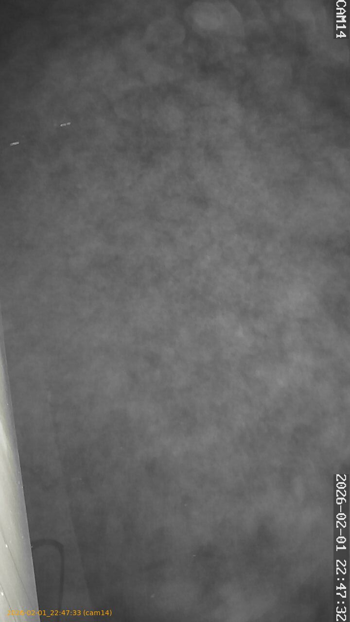 thumbnail_20260201224733