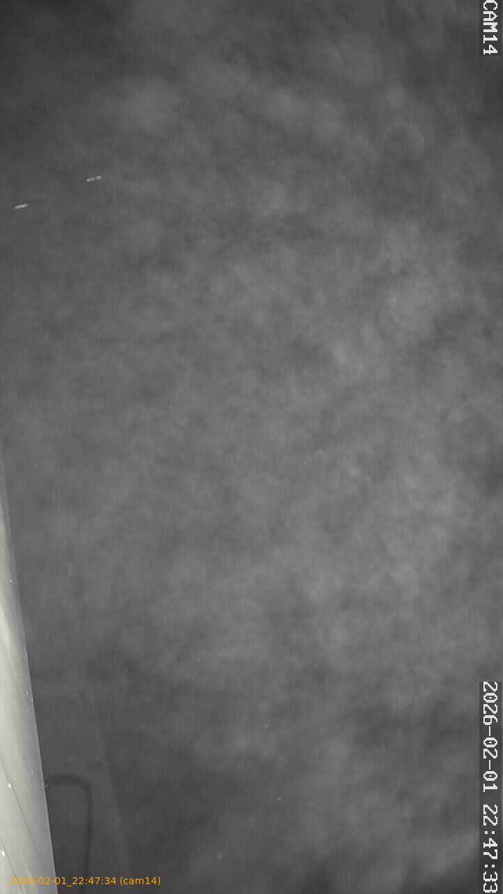 thumbnail_20260201224734