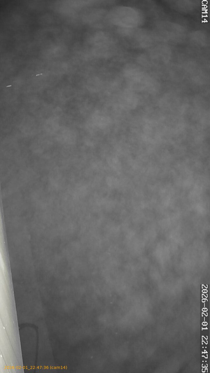 thumbnail_20260201224736