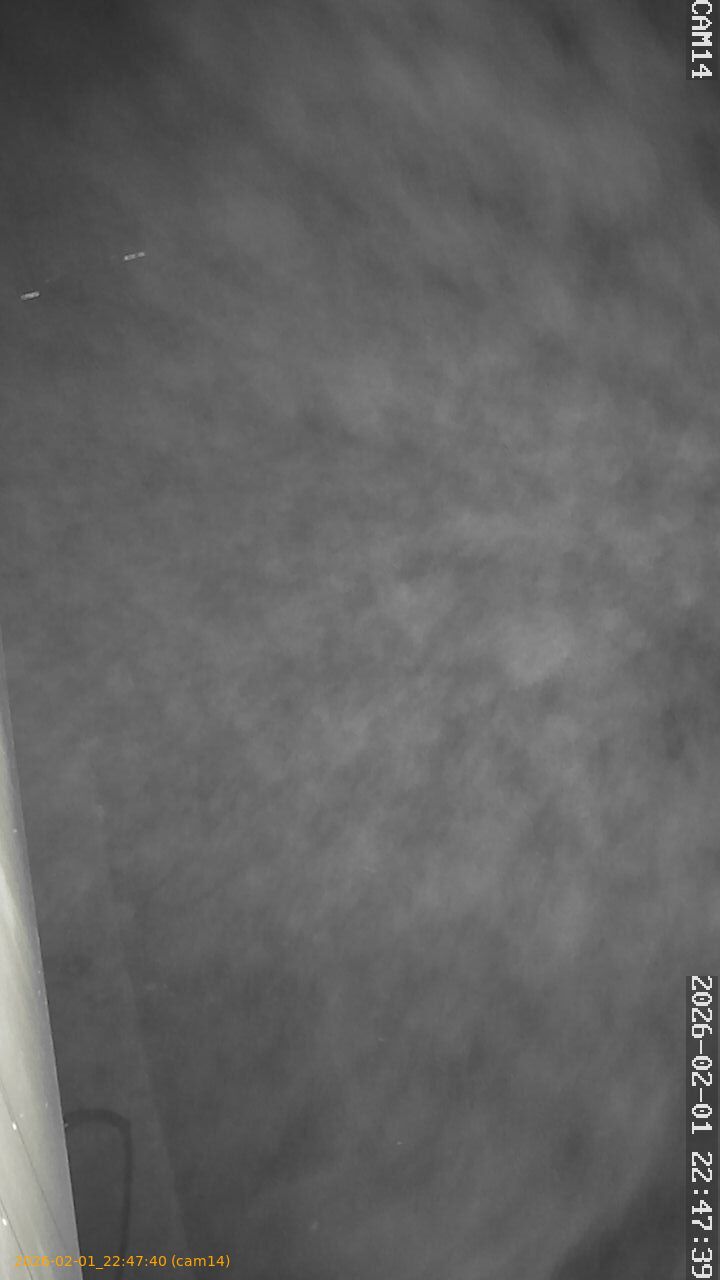 thumbnail_20260201224740