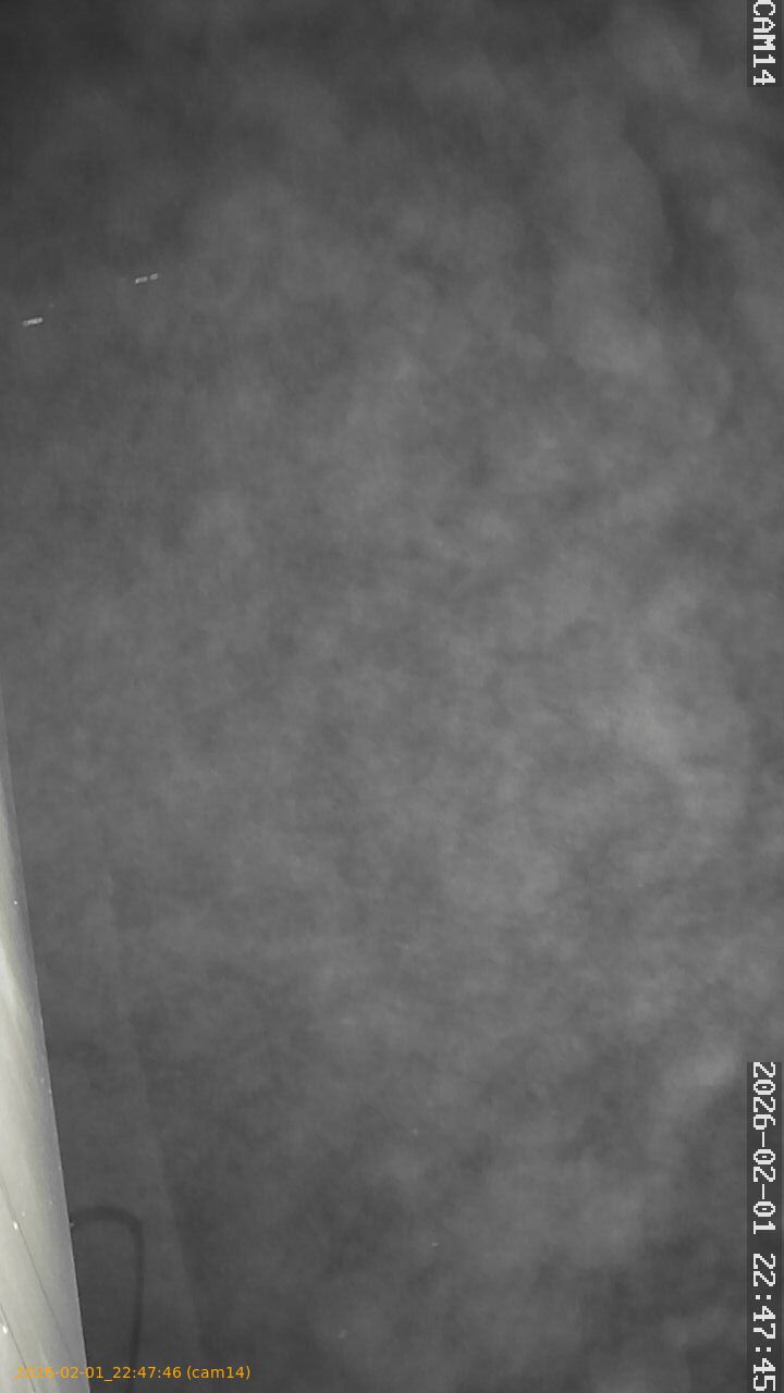 thumbnail_20260201224746