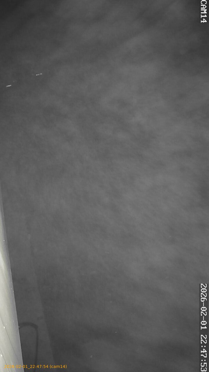 thumbnail_20260201224754