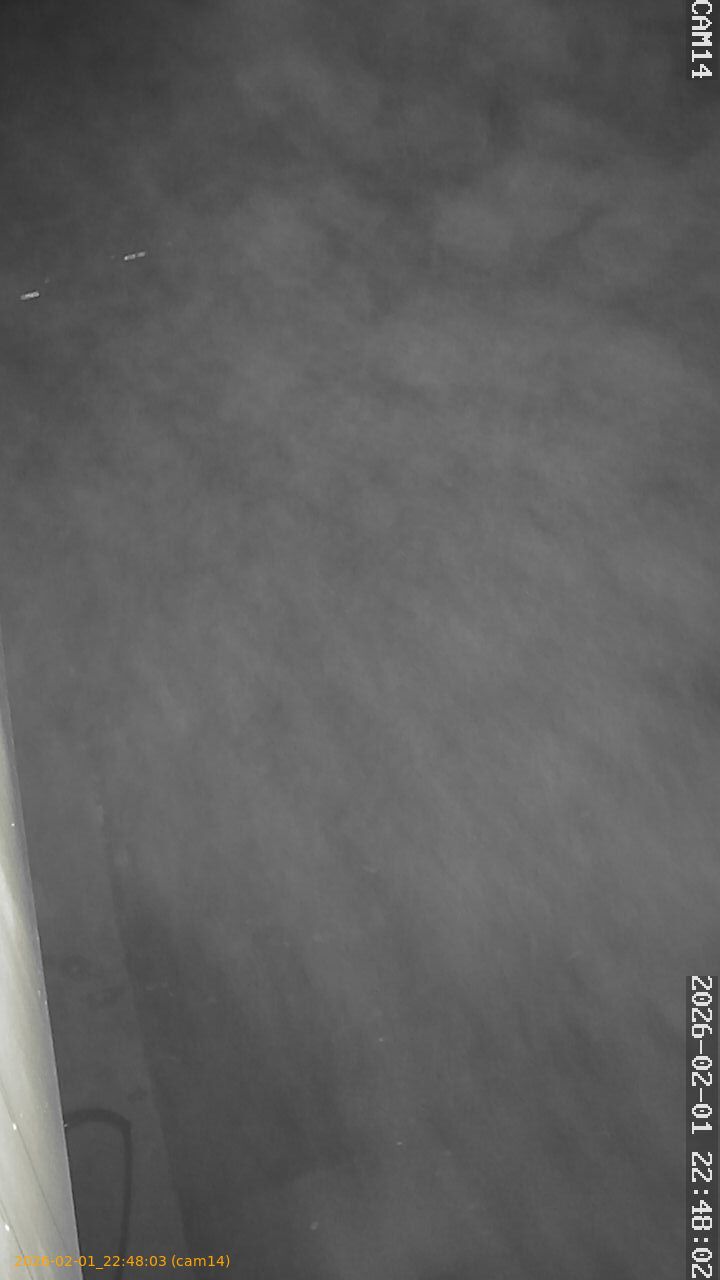 thumbnail_20260201224803