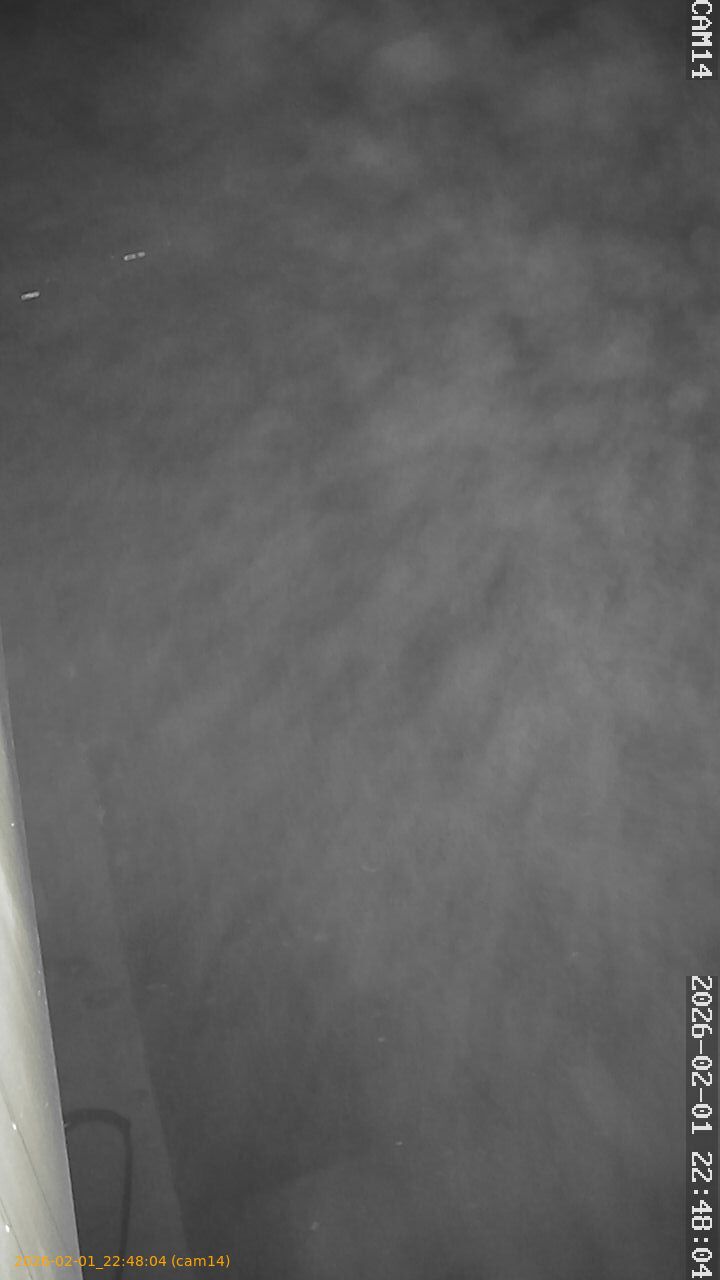 thumbnail_20260201224804