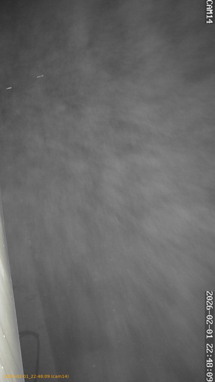 thumbnail_20260201224809