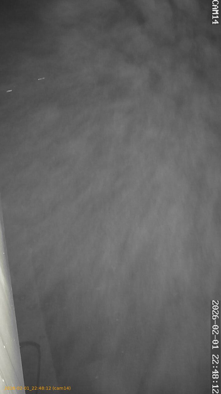 thumbnail_20260201224812