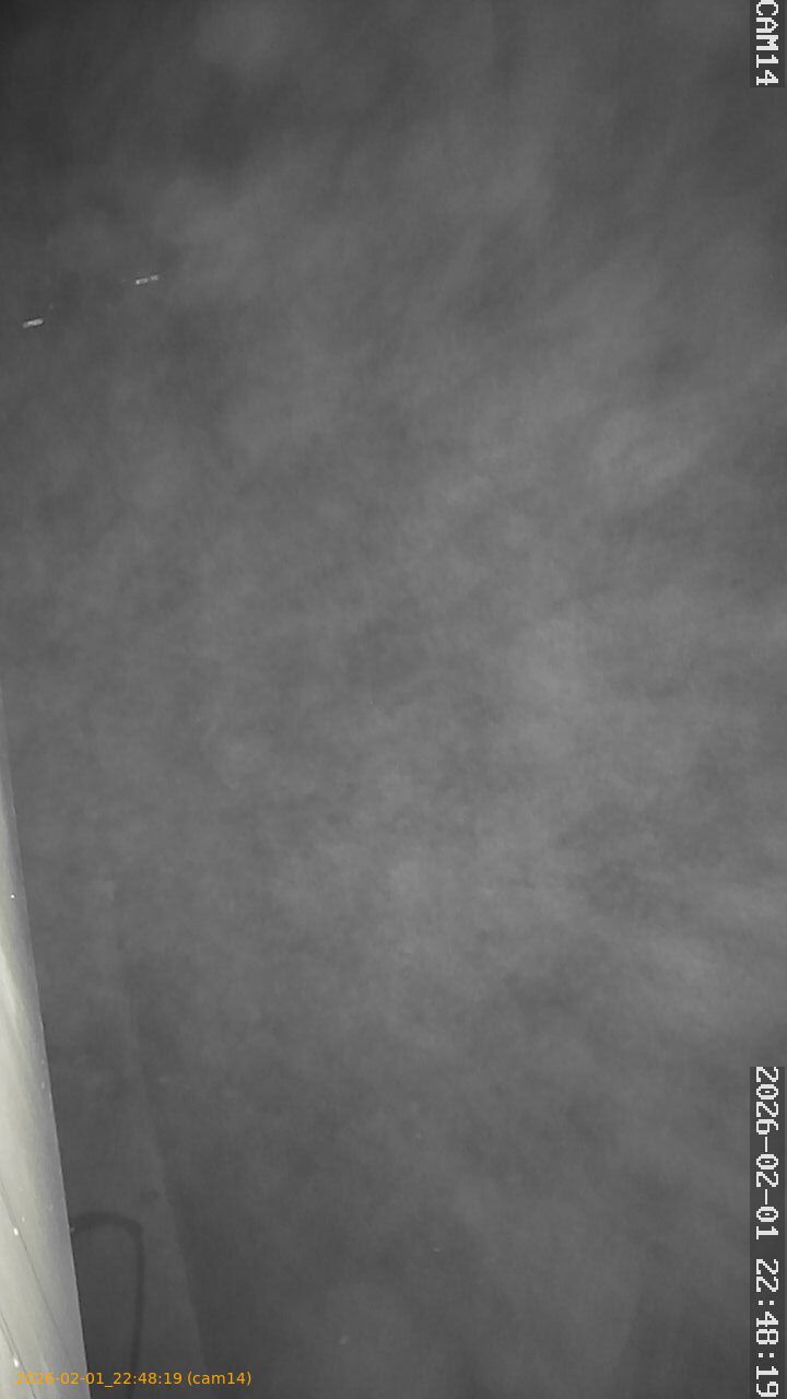 thumbnail_20260201224819