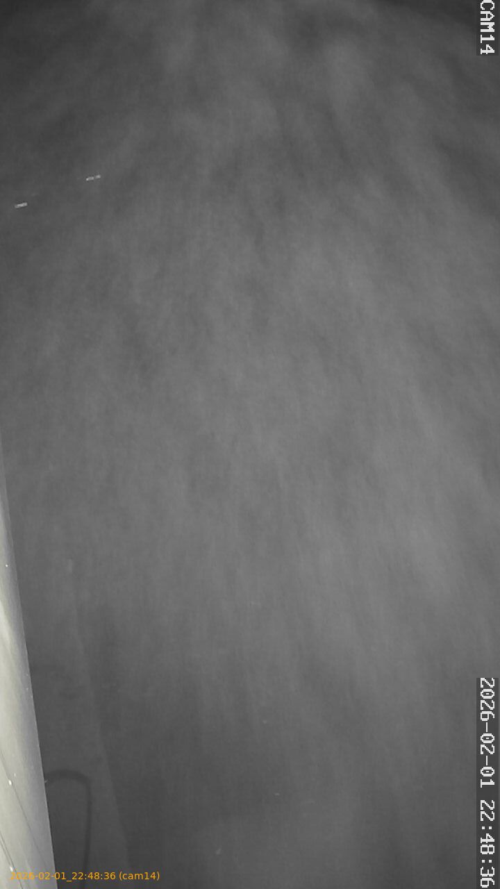 thumbnail_20260201224836