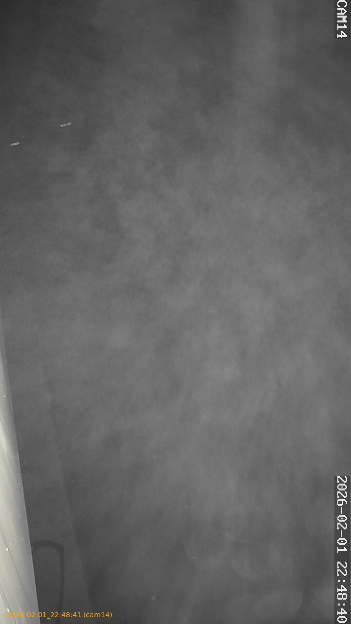 thumbnail_20260201224841