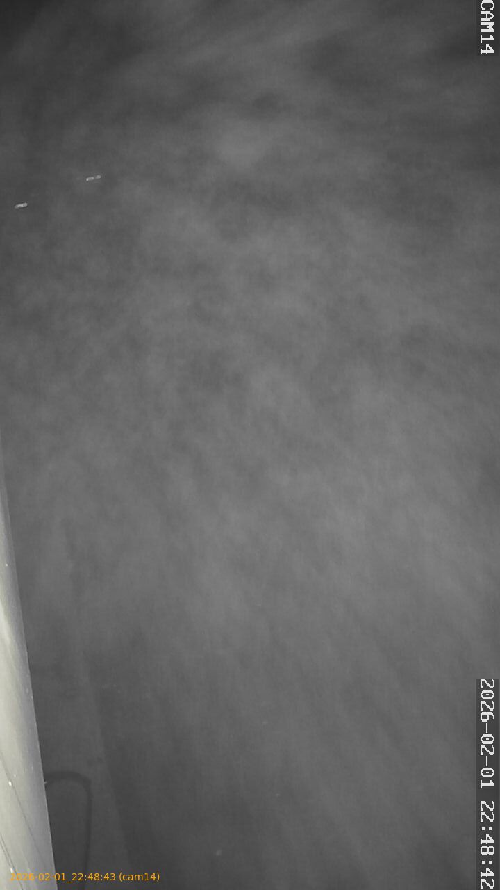 thumbnail_20260201224843