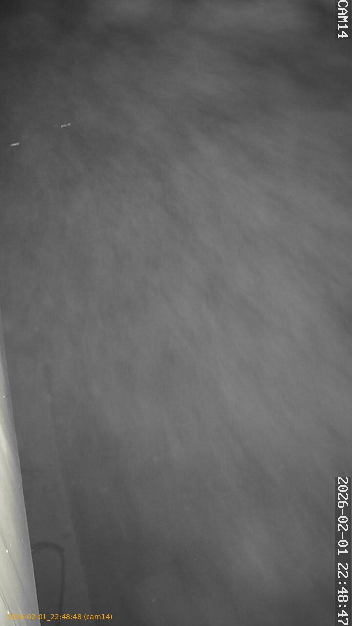 thumbnail_20260201224848