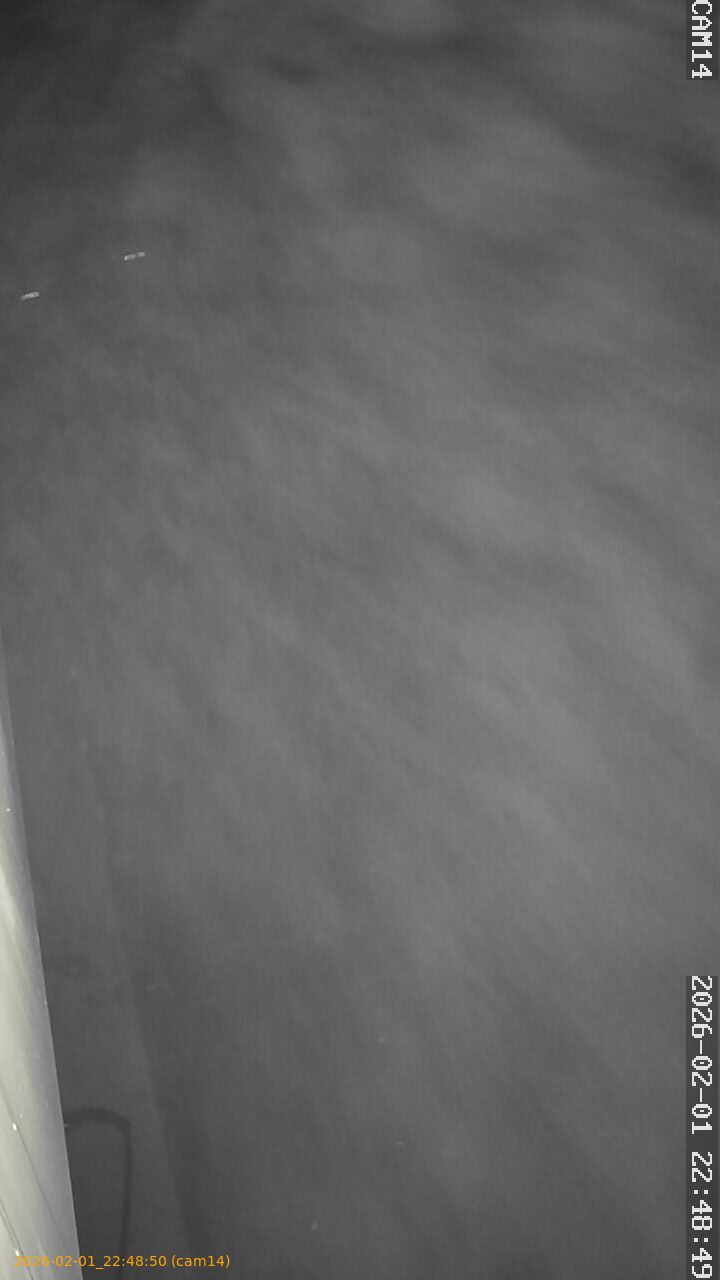 thumbnail_20260201224850