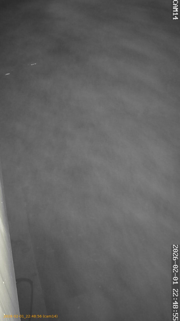 thumbnail_20260201224856