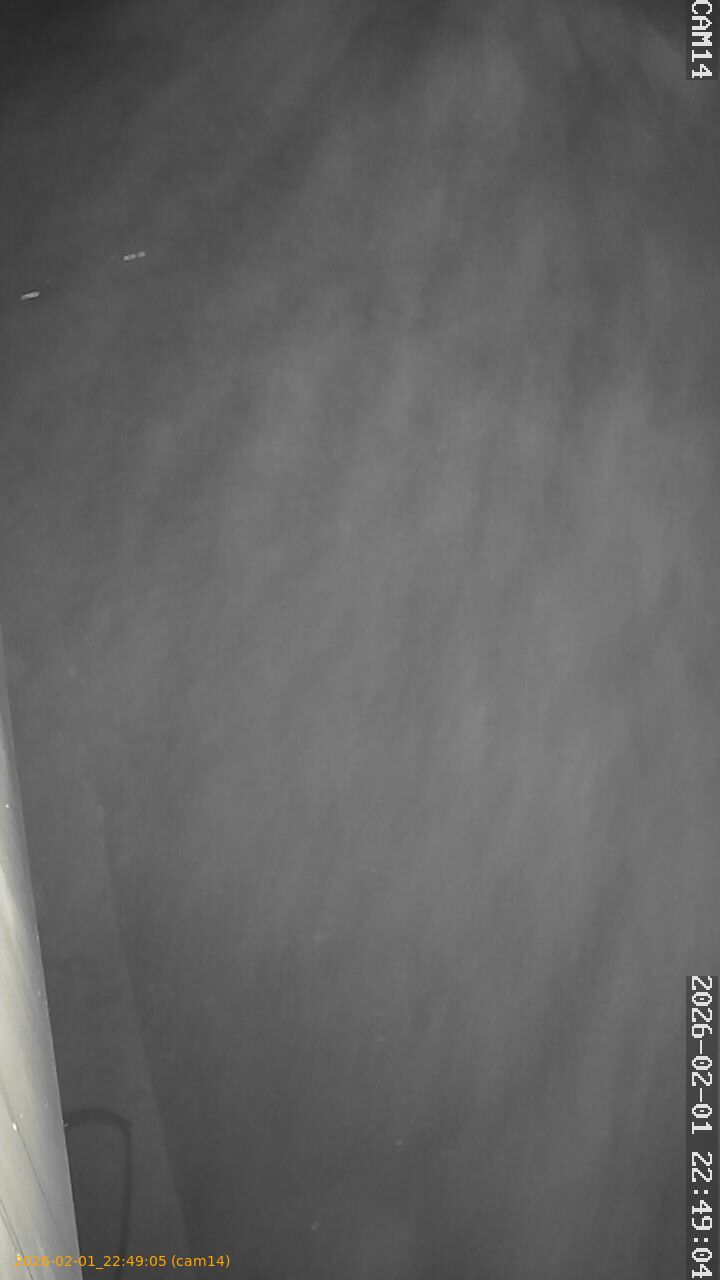 thumbnail_20260201224905