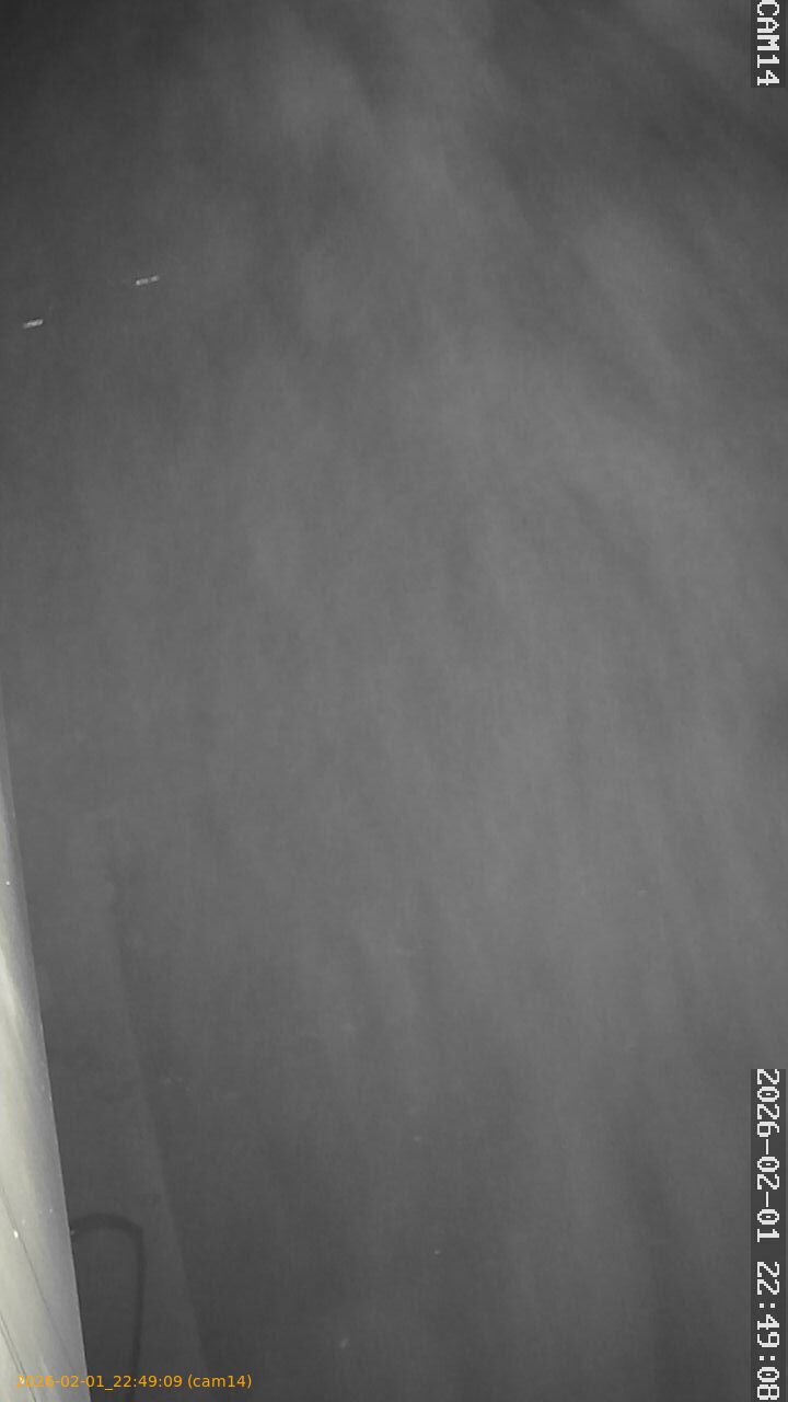 thumbnail_20260201224909