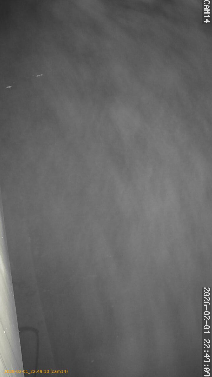 thumbnail_20260201224910