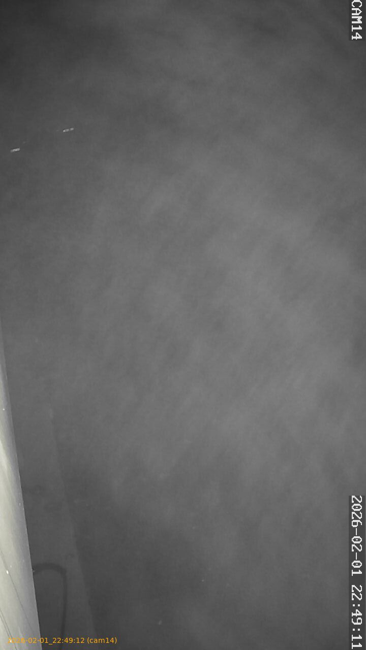 thumbnail_20260201224912