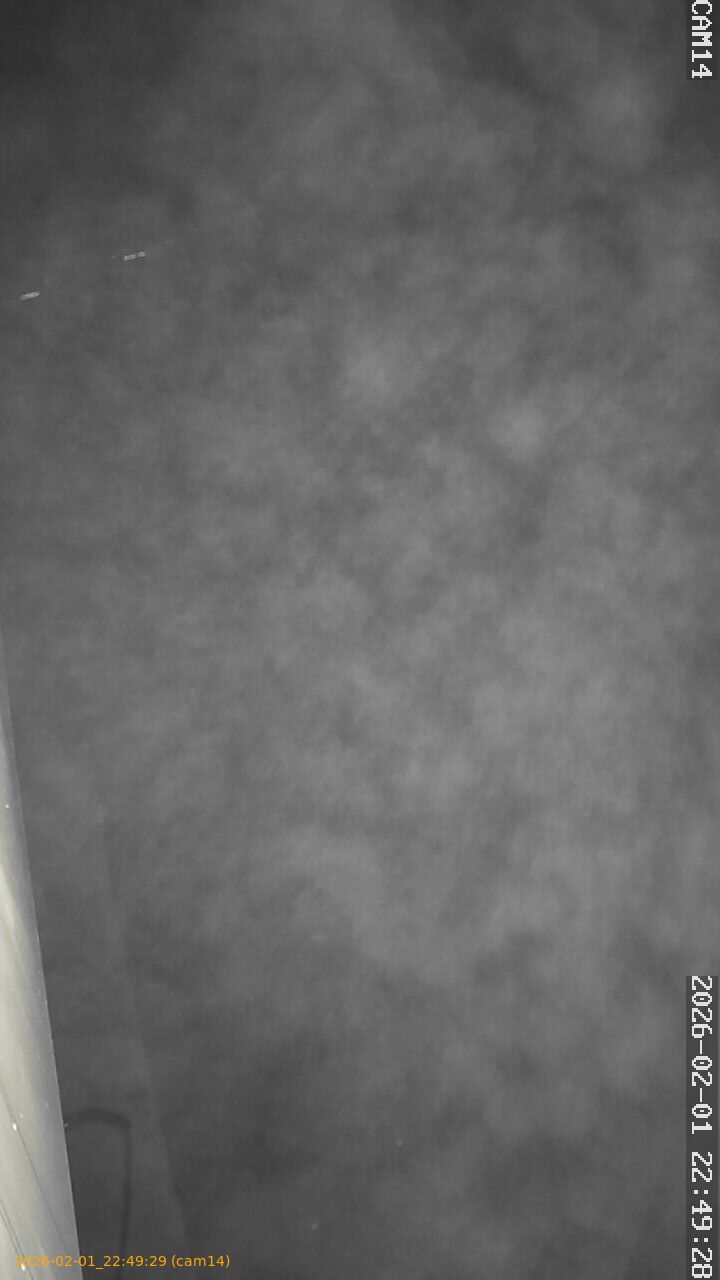 thumbnail_20260201224929