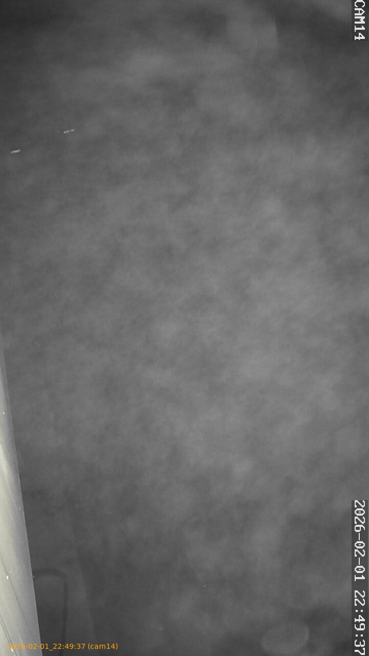 thumbnail_20260201224937