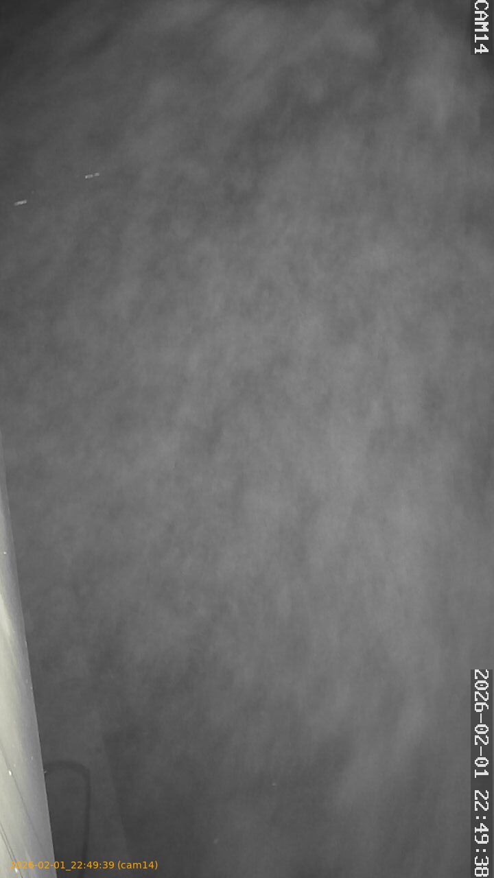 thumbnail_20260201224939