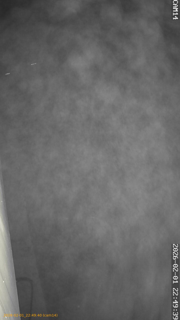 thumbnail_20260201224940