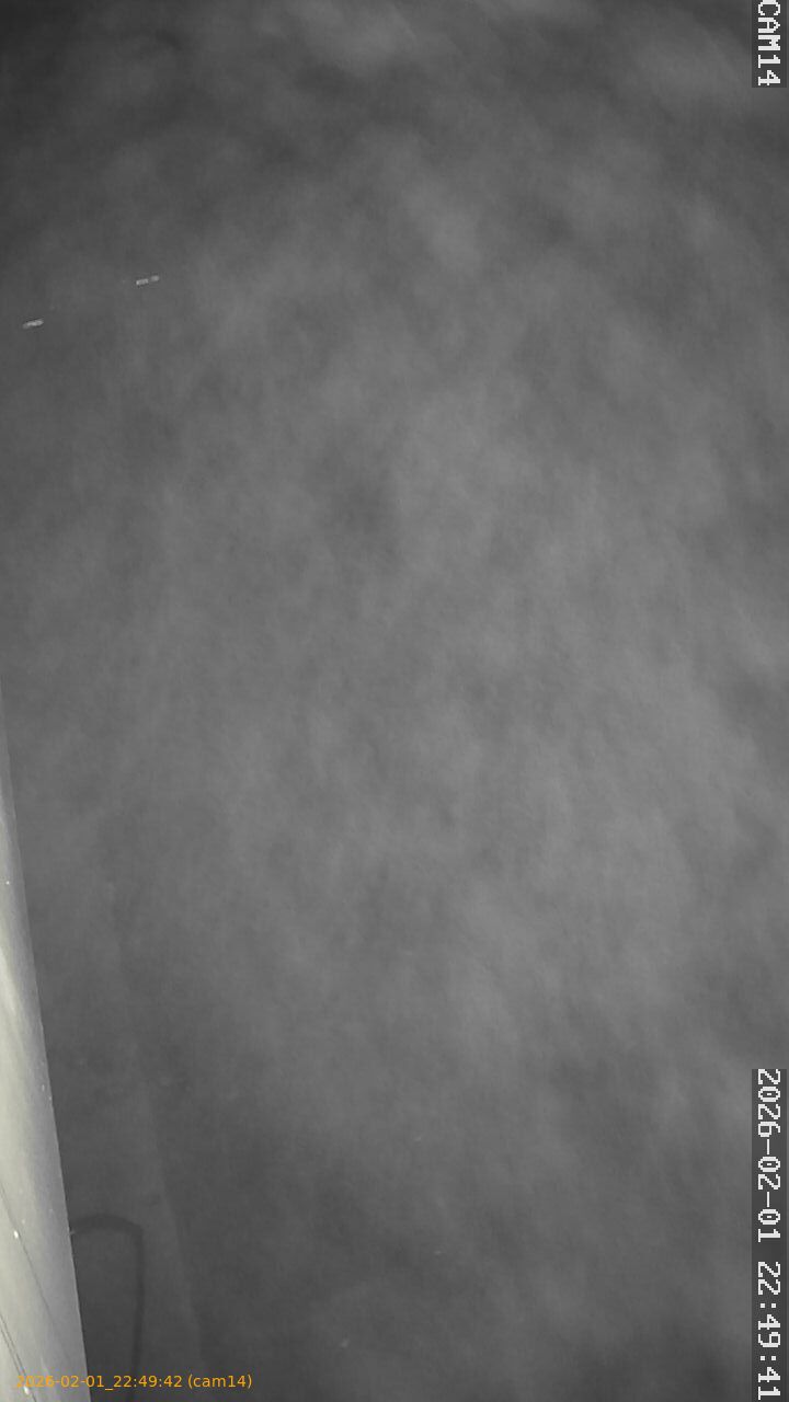 thumbnail_20260201224942