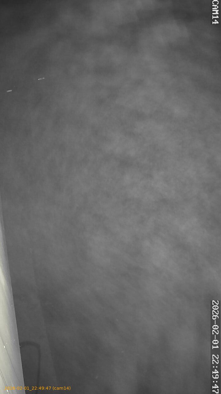 thumbnail_20260201224947