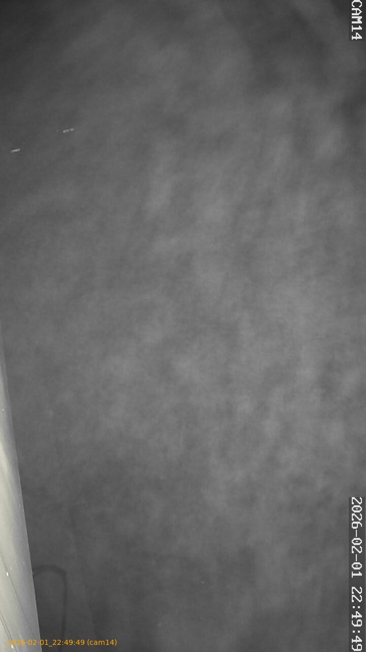 thumbnail_20260201224949