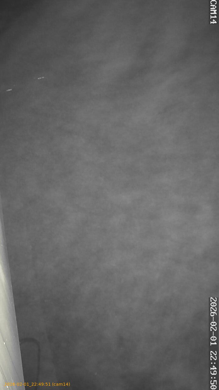 thumbnail_20260201224951