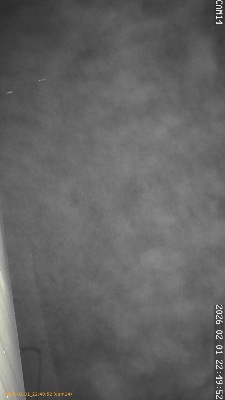 thumbnail_20260201224952