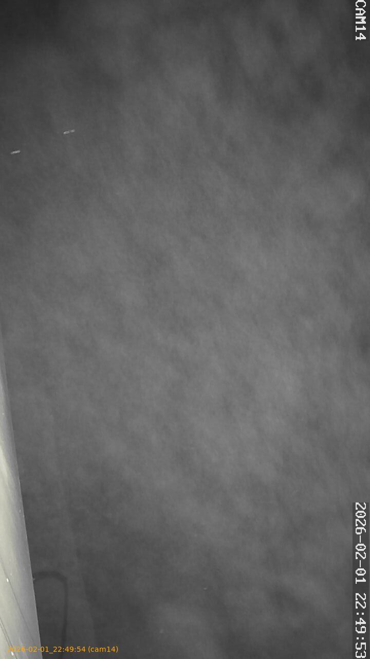 thumbnail_20260201224954