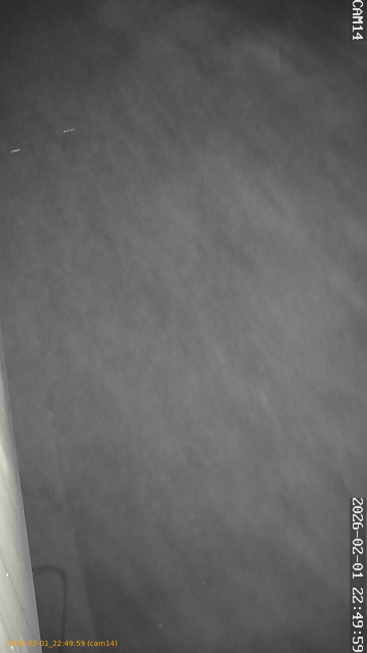 thumbnail_20260201224959