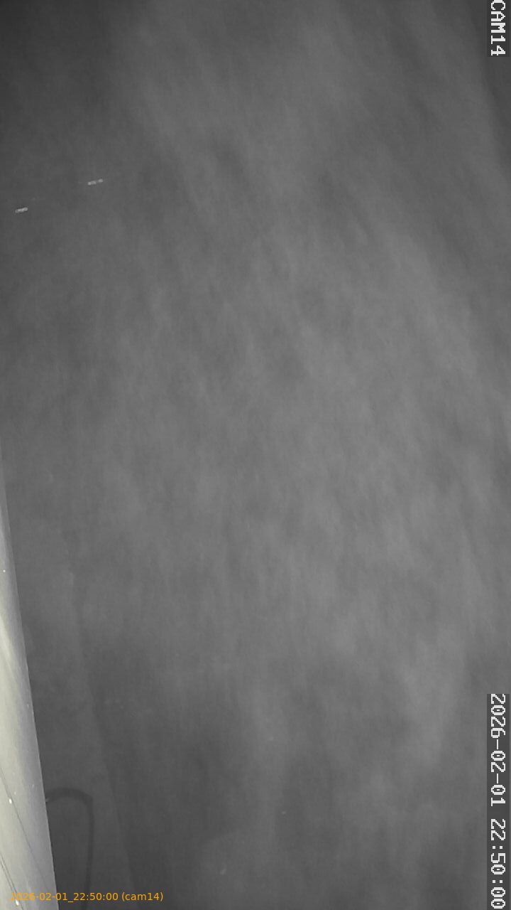 thumbnail_20260201225000