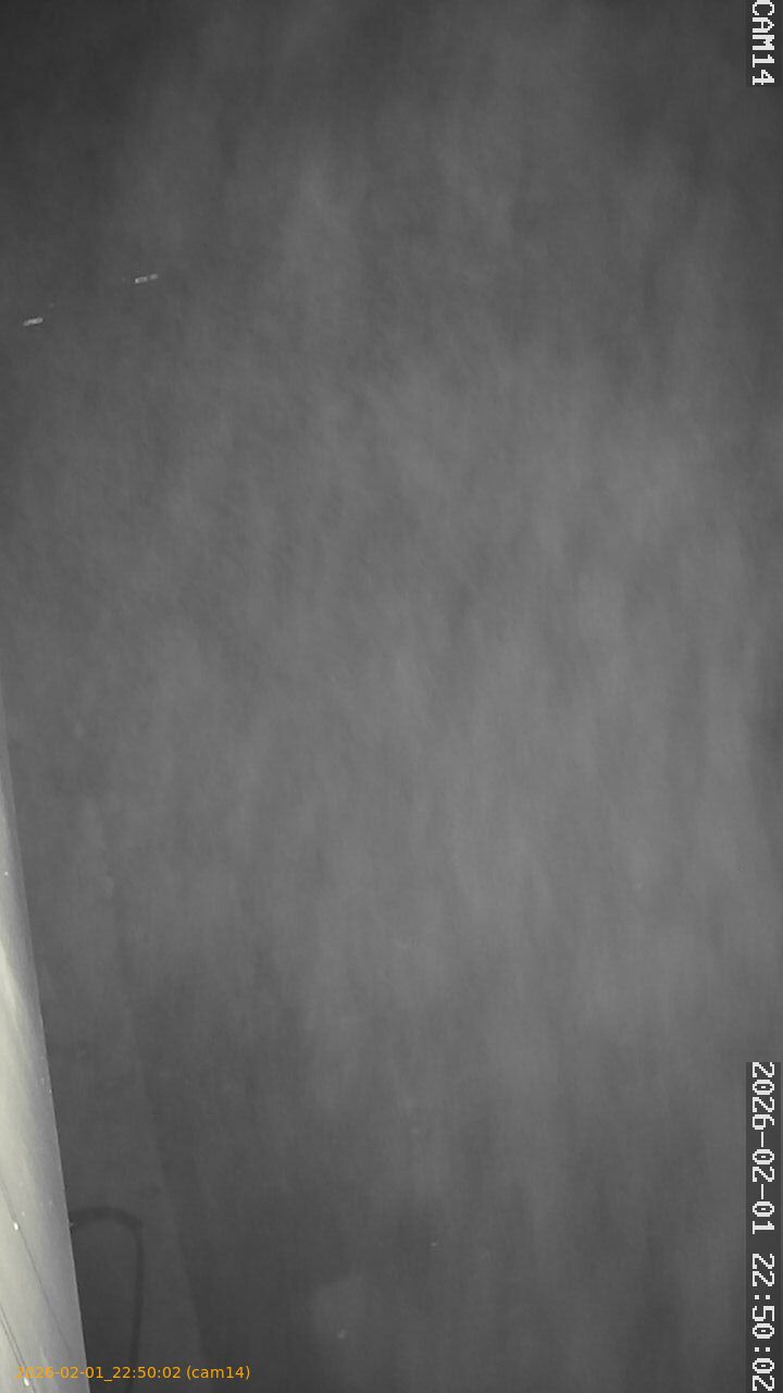 thumbnail_20260201225002