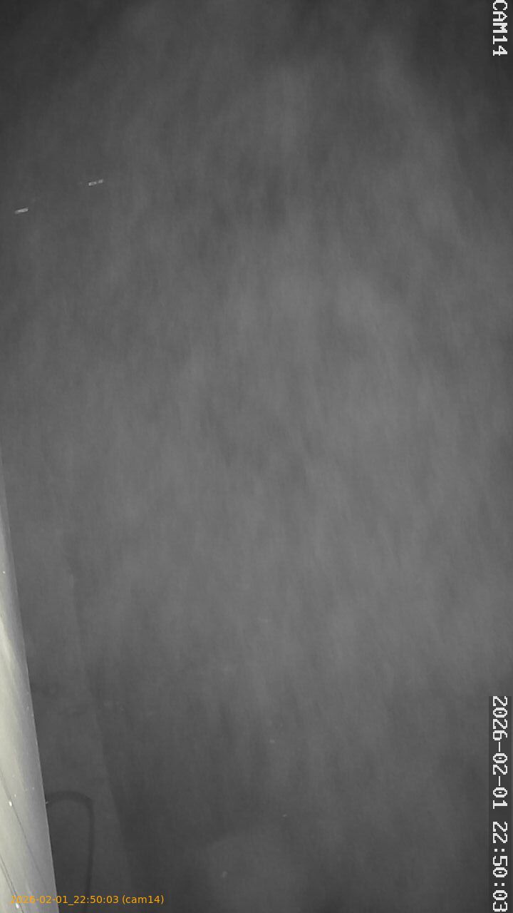 thumbnail_20260201225003