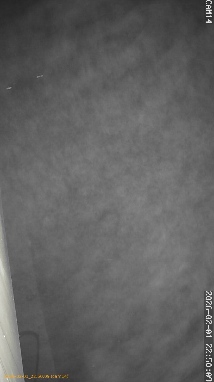 thumbnail_20260201225009