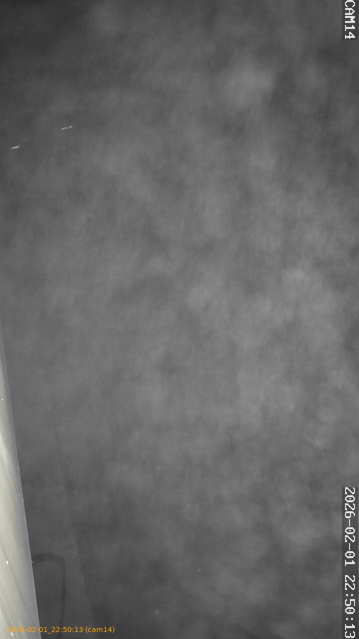 thumbnail_20260201225013