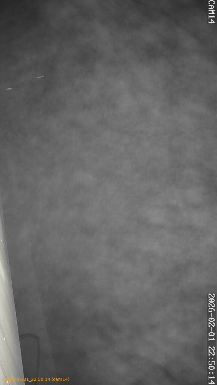 thumbnail_20260201225014