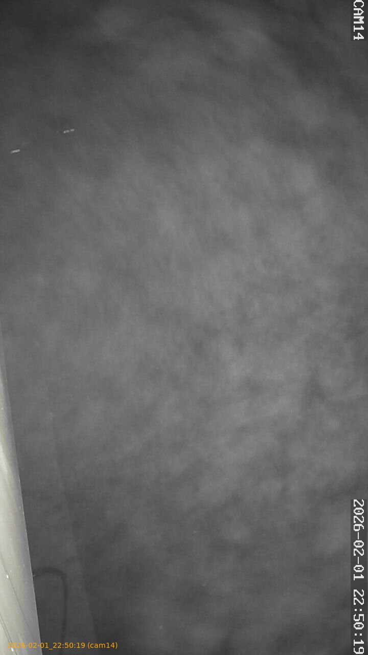 thumbnail_20260201225019