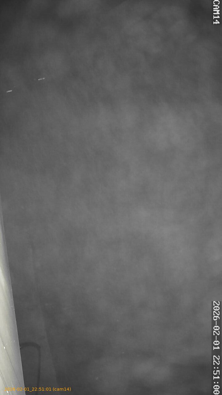 thumbnail_20260201225101