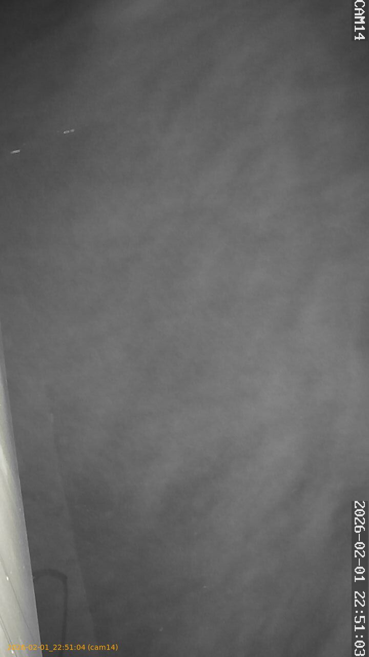 thumbnail_20260201225104