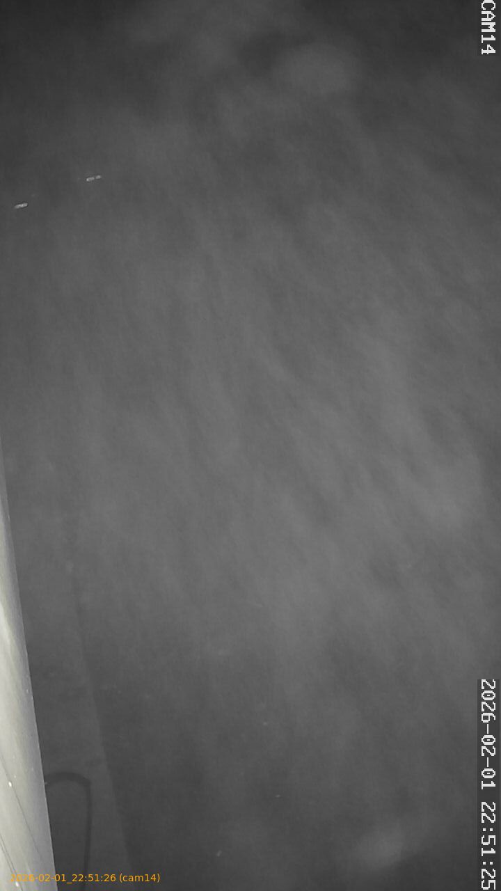 thumbnail_20260201225126