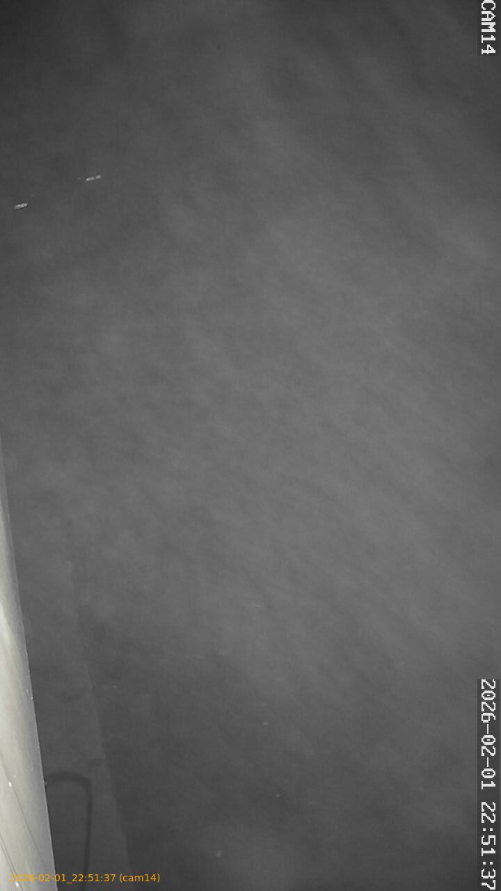 thumbnail_20260201225137